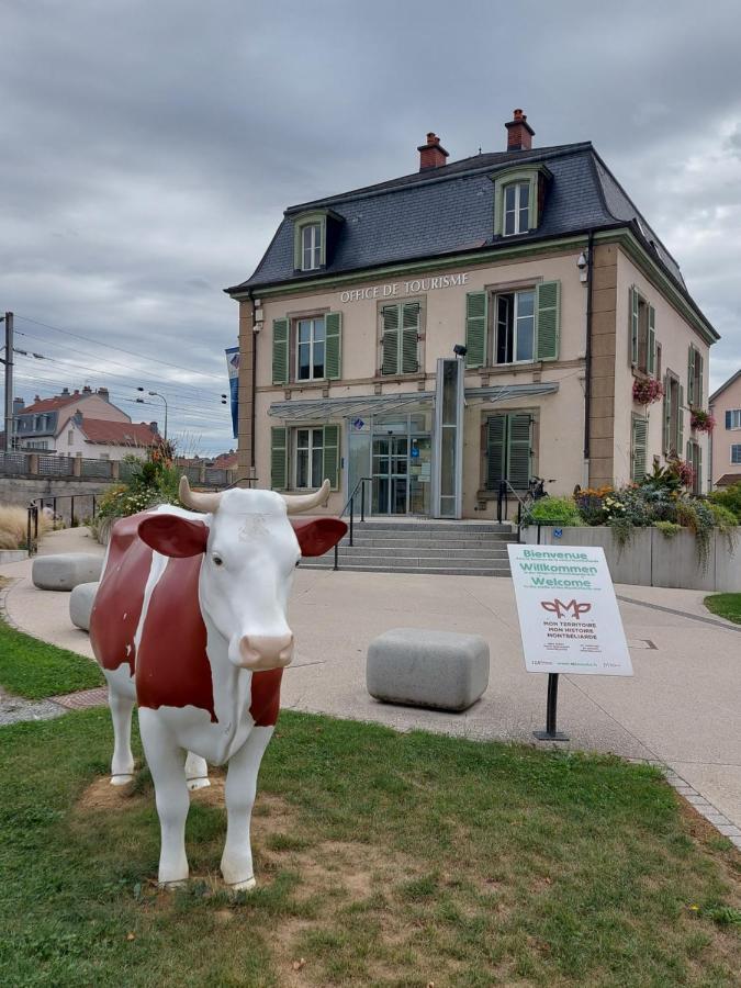 Appart' Duchatelain Lumineux, Vue Sur Chateau Montbéliard Екстериор снимка